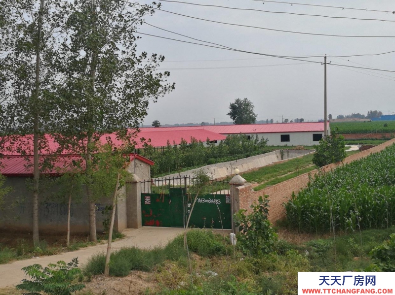 邯鄲 大名縣廠子出租!可做服裝廠,好招工!自己改造,免2年租金!