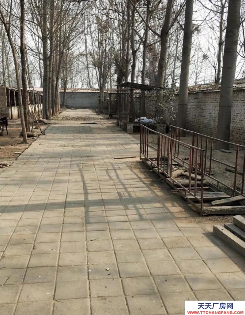 邯鄲 大名縣 養殖場，出租/出售，做工廠倉庫都可以。