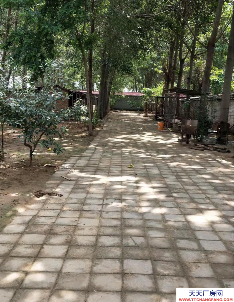 邯鄲 大名縣 養殖場，出租/出售，做工廠倉庫都可以。