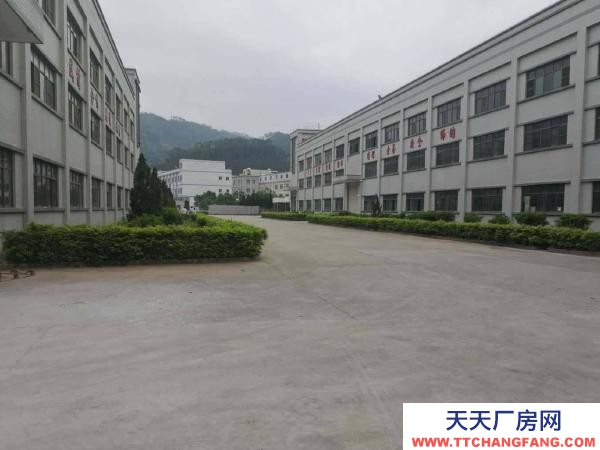 邵陽市新邵區(qū) 自有新邵花園式廠房出租,500平米起分