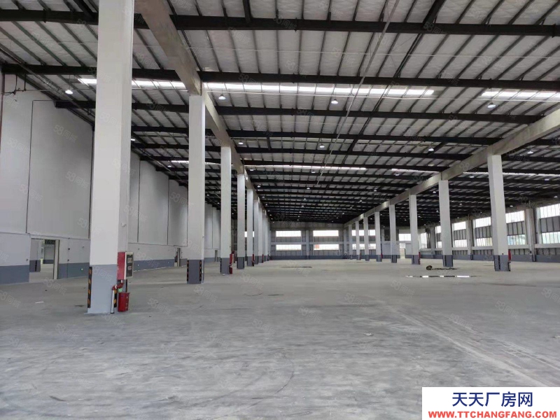 (出租) 清遠高速清新區（28000方12米高臺倉,各類冷庫）丙級消防