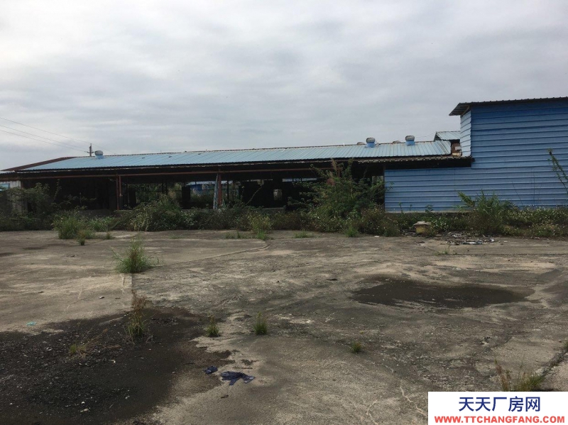 (出租) 清遠清新區太和鎮萬壽村倉庫