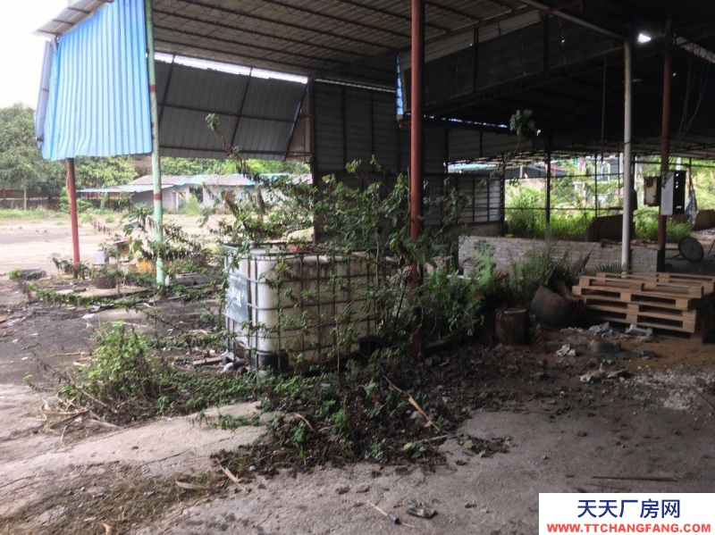 (出租) 清遠(yuǎn)清新區(qū)太和鎮(zhèn)萬(wàn)壽村倉(cāng)庫(kù)