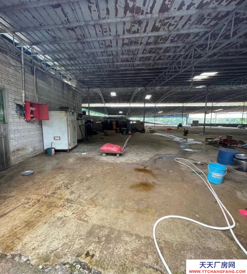 (出租) 清遠清新區廠棚近高速，交通便利