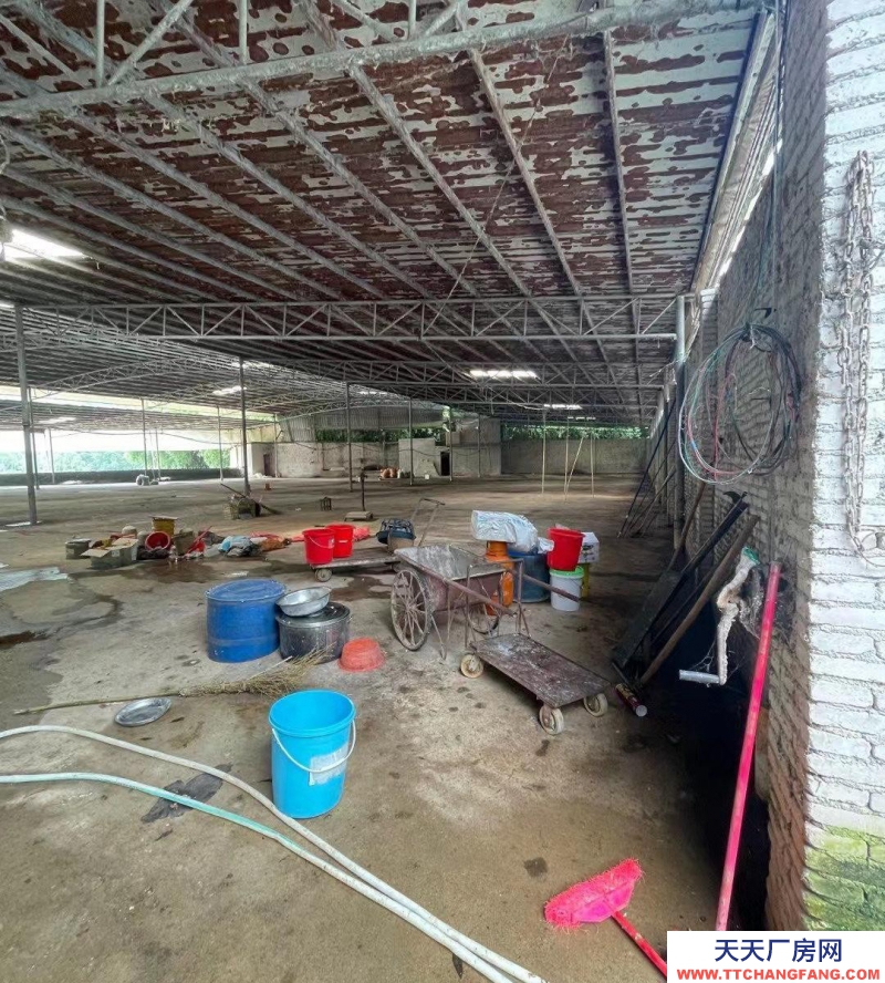 (出租) 清遠清新區廠棚近高速，交通便利