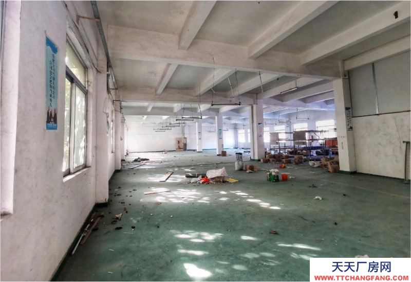 (出租) 清遠倉庫有1000至3000平方可作廠房用途