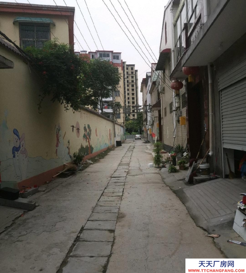 邯鄲 磁縣 直租，臨二環路門前路六米寬