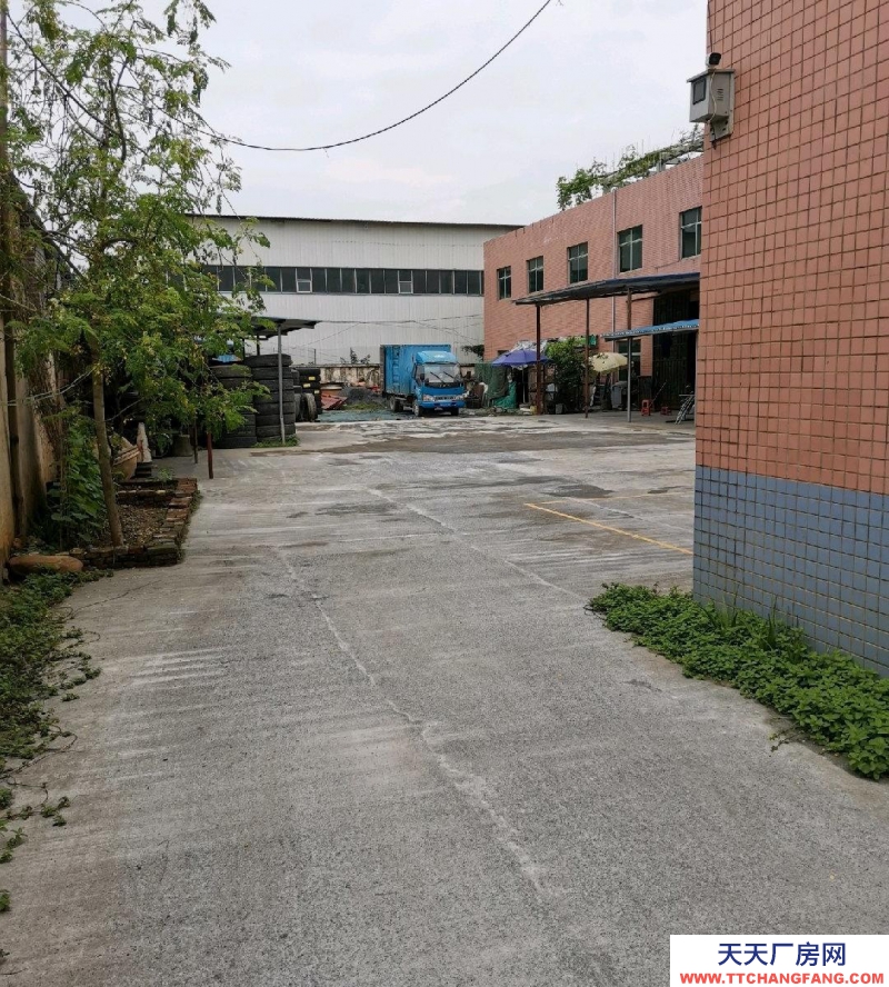 (出租) 清遠標(biāo)準(zhǔn)建筑，首層4.5米，可做門面、旅業(yè)、飯店、工廠、倉庫等