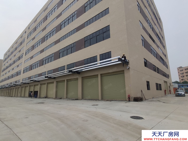 (出租) 肇慶1000平起租肇慶大旺高新區(qū)全新重工業(yè)丙二類消防廠房倉庫出租