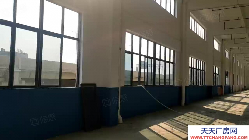 (出租) 肇慶1000平起租肇慶大旺高新區(qū)全新重工業(yè)丙二類消防廠房倉庫出租