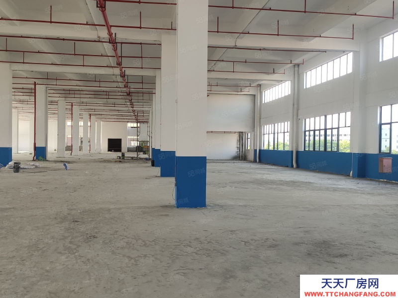 (出租) 肇慶1000平起租肇慶大旺高新區(qū)全新重工業(yè)丙二類消防廠房倉庫出租