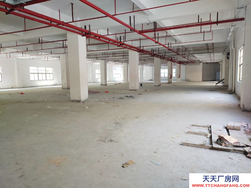 (出租) 肇慶端州城區標準水泥結構廠房招租