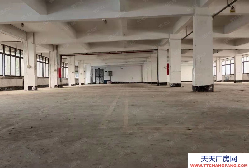 (出租) 肇慶端州特價廠房10元端州區睦崗大洲獨院廠房吉地招租