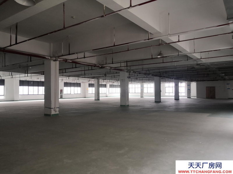 織里整層廠房出租1846平方，有電梯，適合童裝生產(chǎn)加工。