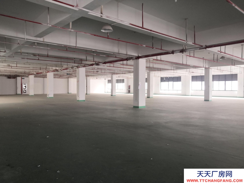 織里整層廠房出租1846平方，有電梯，適合童裝生產加工。