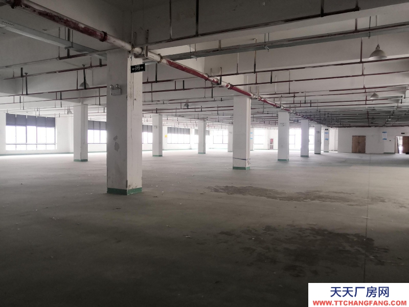 織里整層廠房出租1846平方，有電梯，適合童裝生產(chǎn)加工。