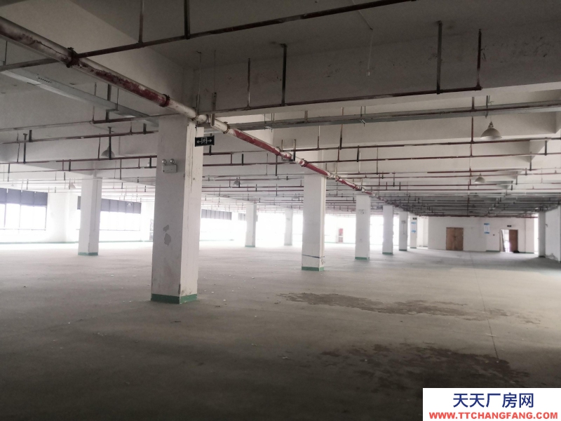 織里整層廠房出租1846平方，有電梯，適合童裝生產(chǎn)加工。