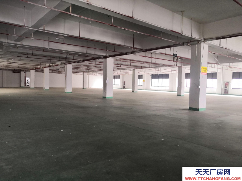 織里整層廠房出租1846平方，有電梯，適合童裝生產(chǎn)加工。