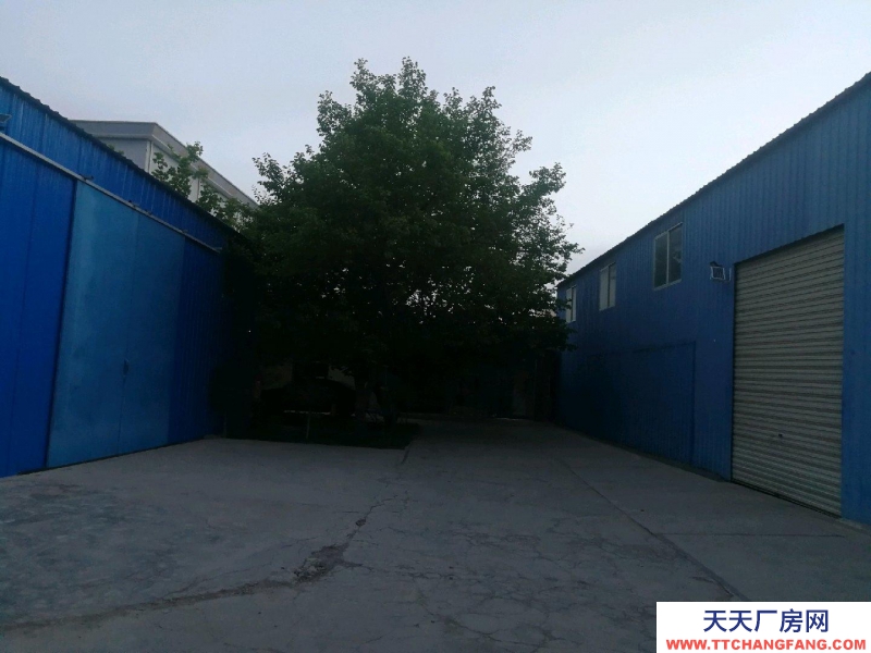 (出租) 張掖甘州位于嘉禾農貿市場隔壁