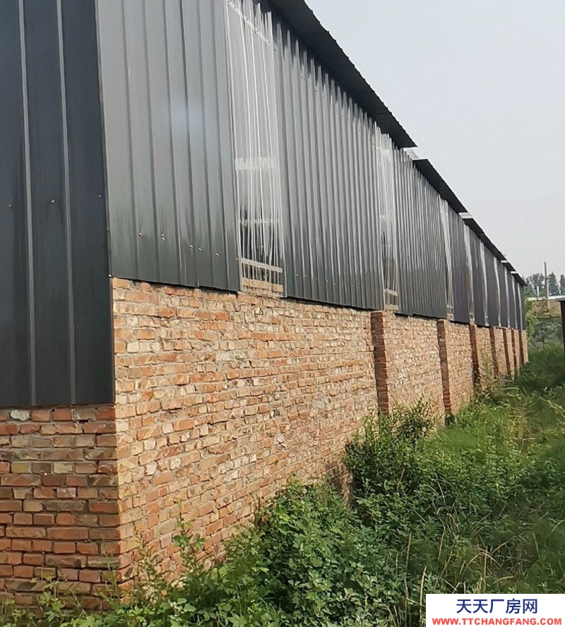 德州臨邑長40米寬19米鋼結構廠房