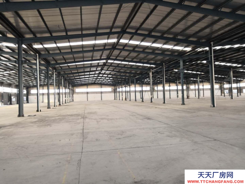 德州齊河可分租 20000平高臺庫出租