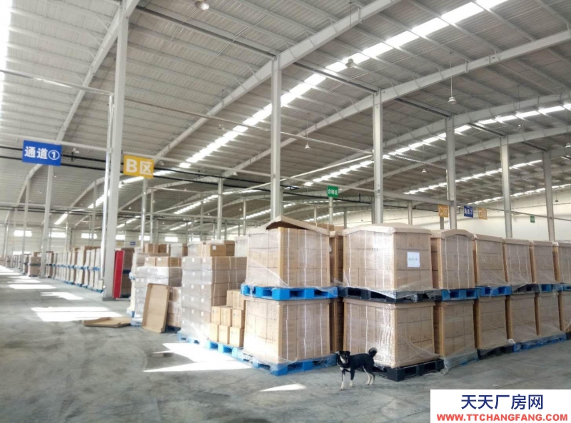 德州齊河10000平標準高臺庫出租