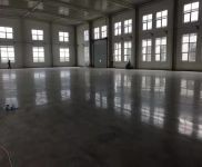 (出售) 50年大產權單層廠房,獨棟帶院,可環評