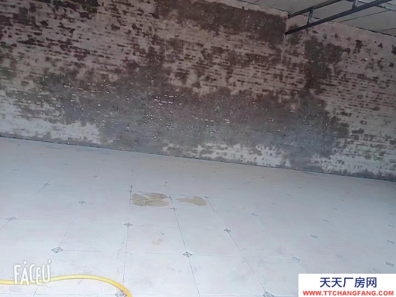 邯鄲 肥鄉(xiāng)縣 大世界商貿(mào)