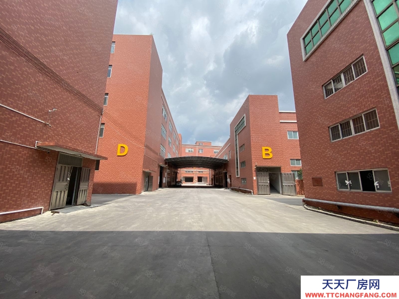 (出租) 廣東中山民眾60000方丙二級(jí)消防倉庫出租