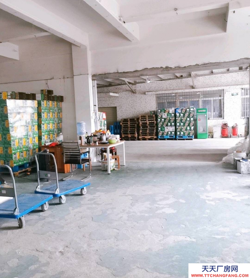 (出租) 廣東中山可以廠房兼倉庫，電力齊全，位置適中，交通方便