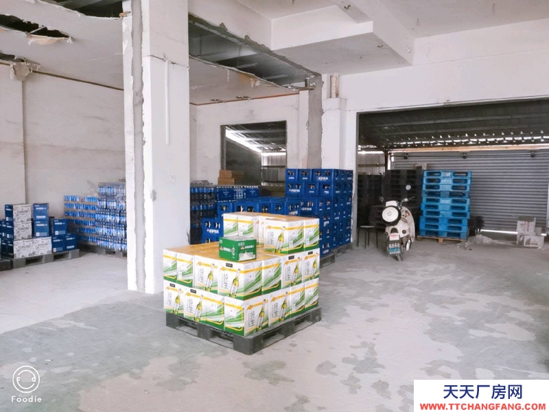 (出租) 廣東中山可以廠房兼倉庫，電力齊全，位置適中，交通方便