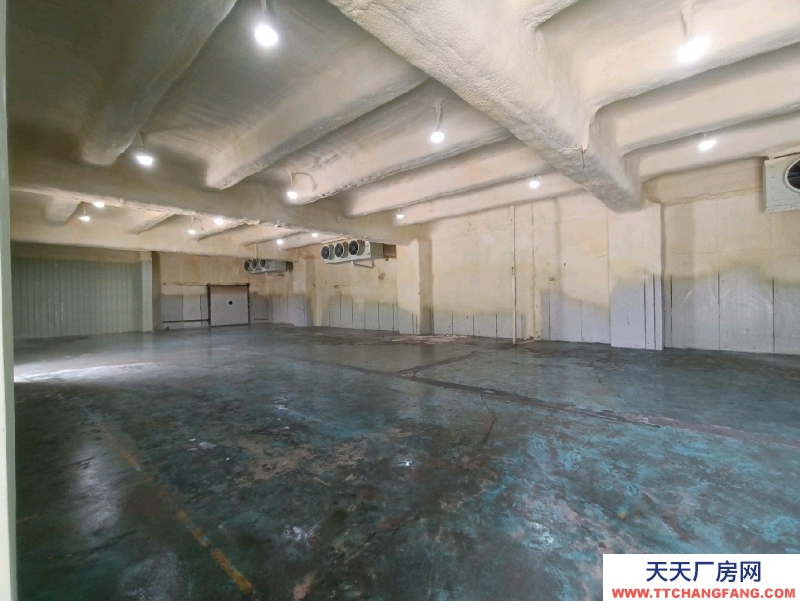 (出租) 廣東中山冷庫冷藏出租分租整租(接冷藏倉儲服務)
