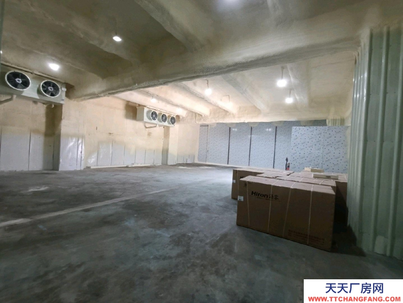 (出租) 廣東中山冷庫冷藏出租分租整租(接冷藏倉儲服務)