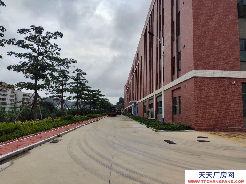 (出租) 廣東中山南朗新出原房東21000平樓上廠房出租可分租