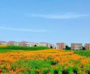 (出售) 通州現(xiàn)房廠房租售 有房本 可生產(chǎn)環(huán)評 送半層