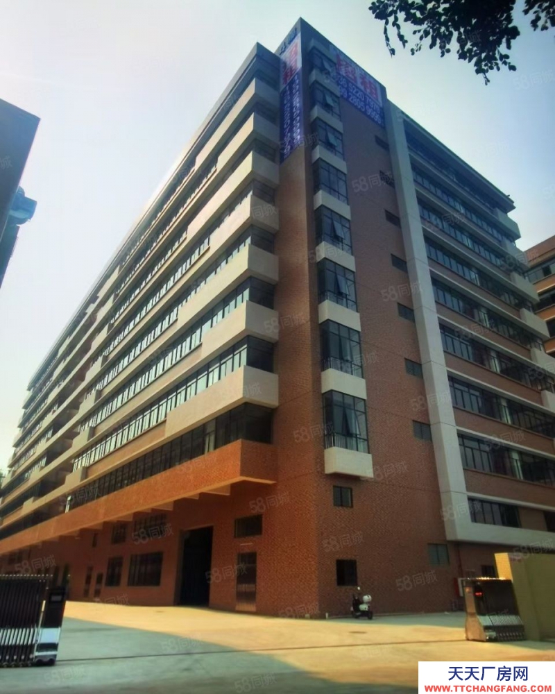 (出租) 廣東中山小欖工業(yè)大道南新廠房！特惠出租！面談！