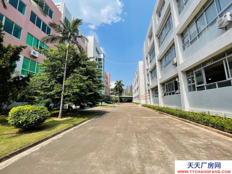 (出租) 廣東中山市三鄉(xiāng)鎮(zhèn)平鋪工業(yè)區(qū)紅本標準廠房2600方出租