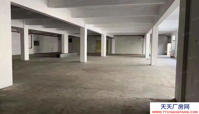 (出租) 廣東中山市三鄉鎮平南工業區原房東標準廠房3500出租200起