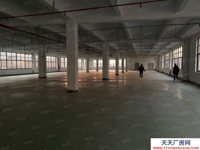 嘉興嘉善(出租) 家具廠房2000平出租，可掛靠