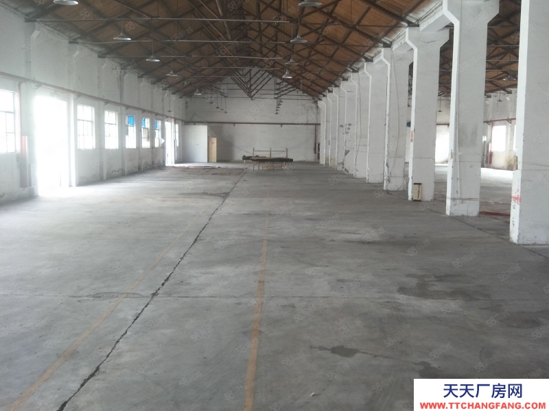 嘉興嘉善(出租) 商城附近800平標準廠房出租，大車可進，交通便利，合同長簽