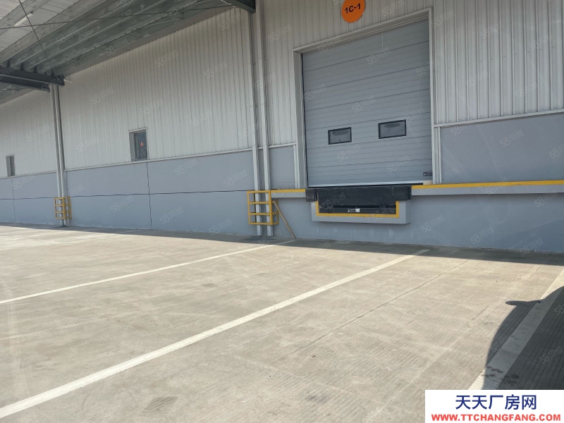 嘉興嘉善(出租) 50000平方高標倉庫，低價出租