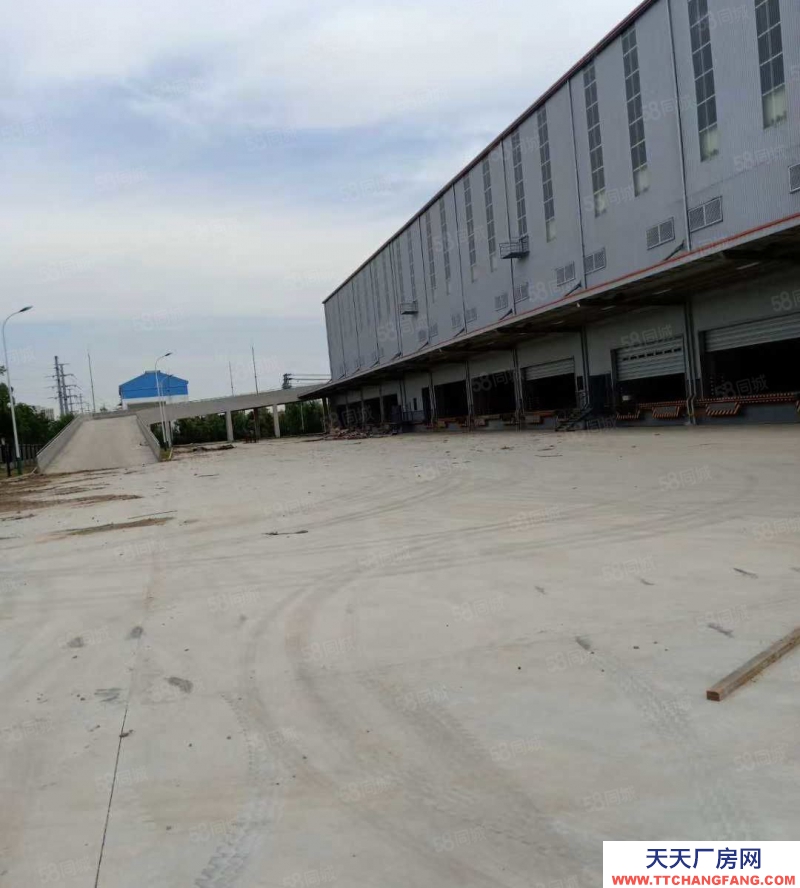 嘉興嘉善(出租) 嘉善高標庫出租總面積9300平米可以分單元出租