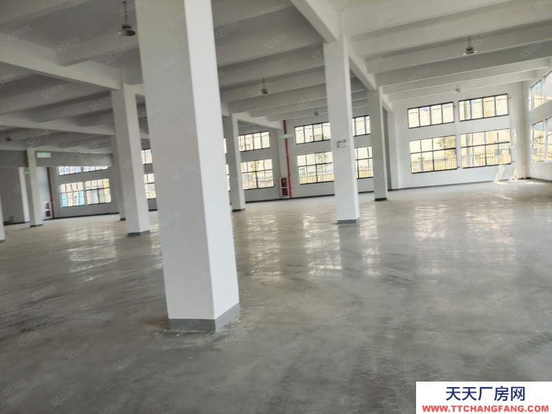 嘉興嘉善(出租) 嘉善 商城 倉庫可分租 標準廠房一樓入住可使用或生產 場地大
