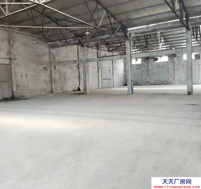 嘉興嘉善(出租) 嘉善姚莊 一樓廠房倉庫 入住可用場地大倉庫