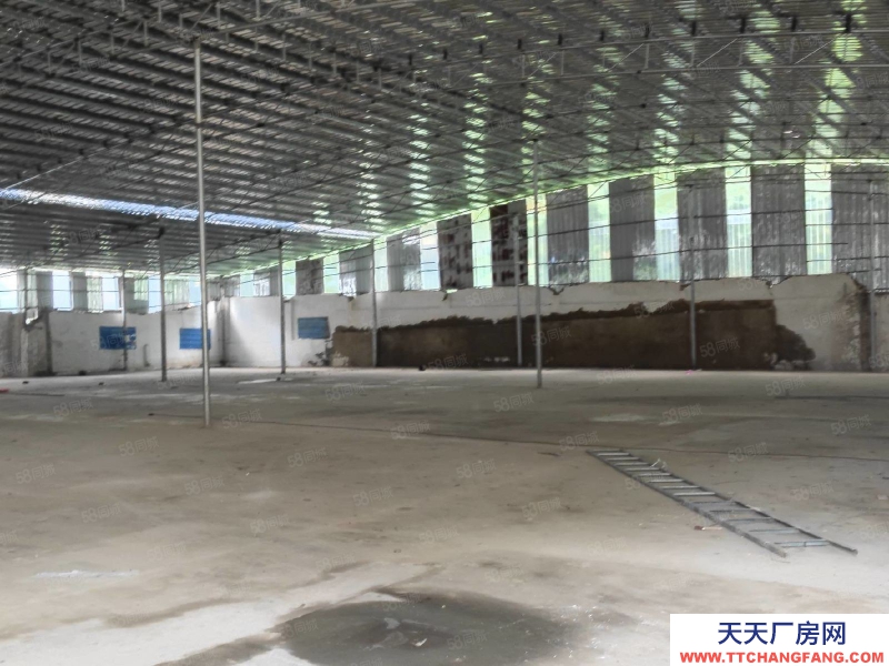 (出租) 玉林玉州區玉福路 倉庫1700平方 8塊錢一方 整租