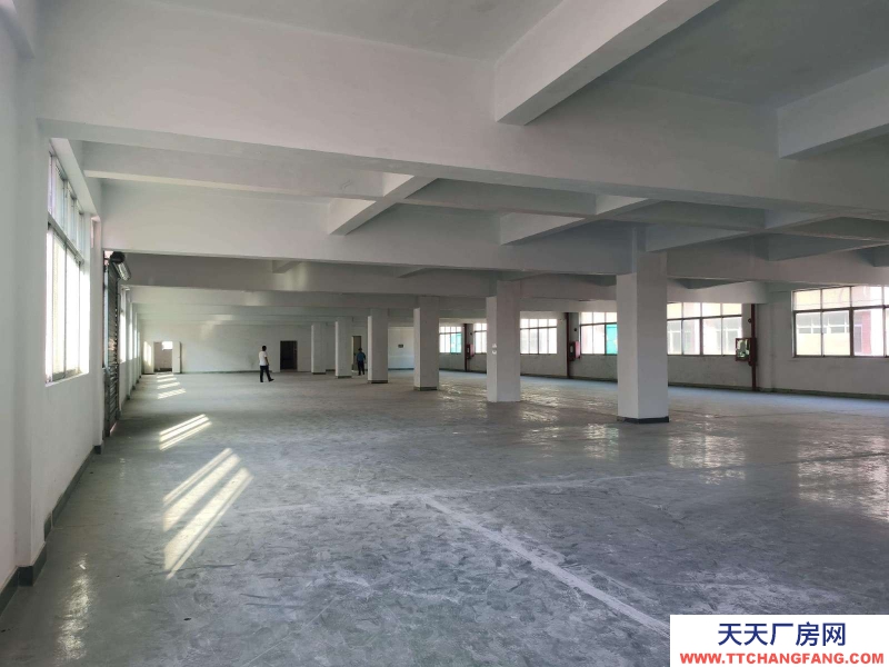 德州樂陵2000平廠房 門頭16間樓房 交通便利 停車方便