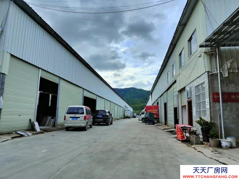 (出租) 玉林陸川縣城區附近！出入方便！