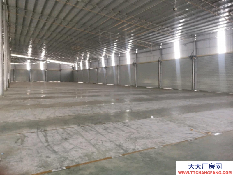 (出租) 玉林陸川全部高臺庫,金剛砂地板,四十米回車空間,配套設施齊全。