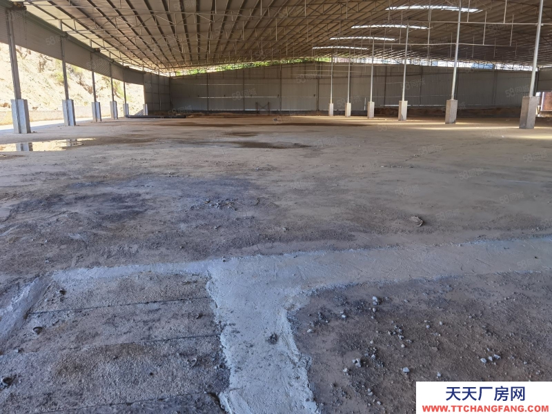 (出租) 廣東韶關(guān)南郊全新廠房出租！3500方，方便進(jìn)大車