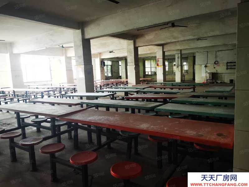 (出租) 廣東韶關(guān)曲江馬壩90000平方鋼架結(jié)構(gòu)有行吊廠房倉庫出租